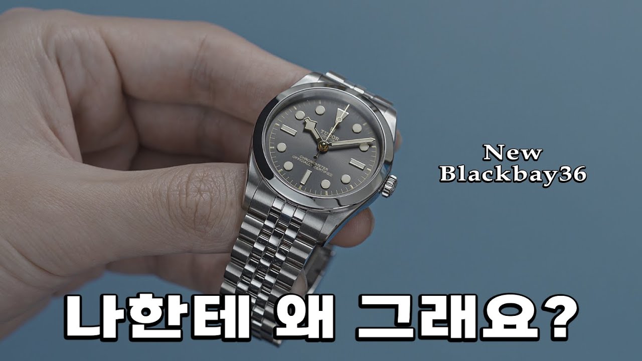 신형 같지 않은 신형, New 튜더 블랙베이 36.