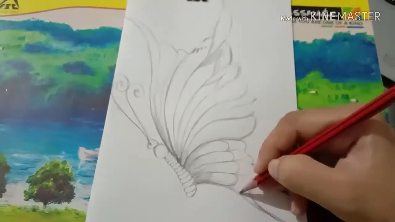 The Butterfly Sketch - Easy Method