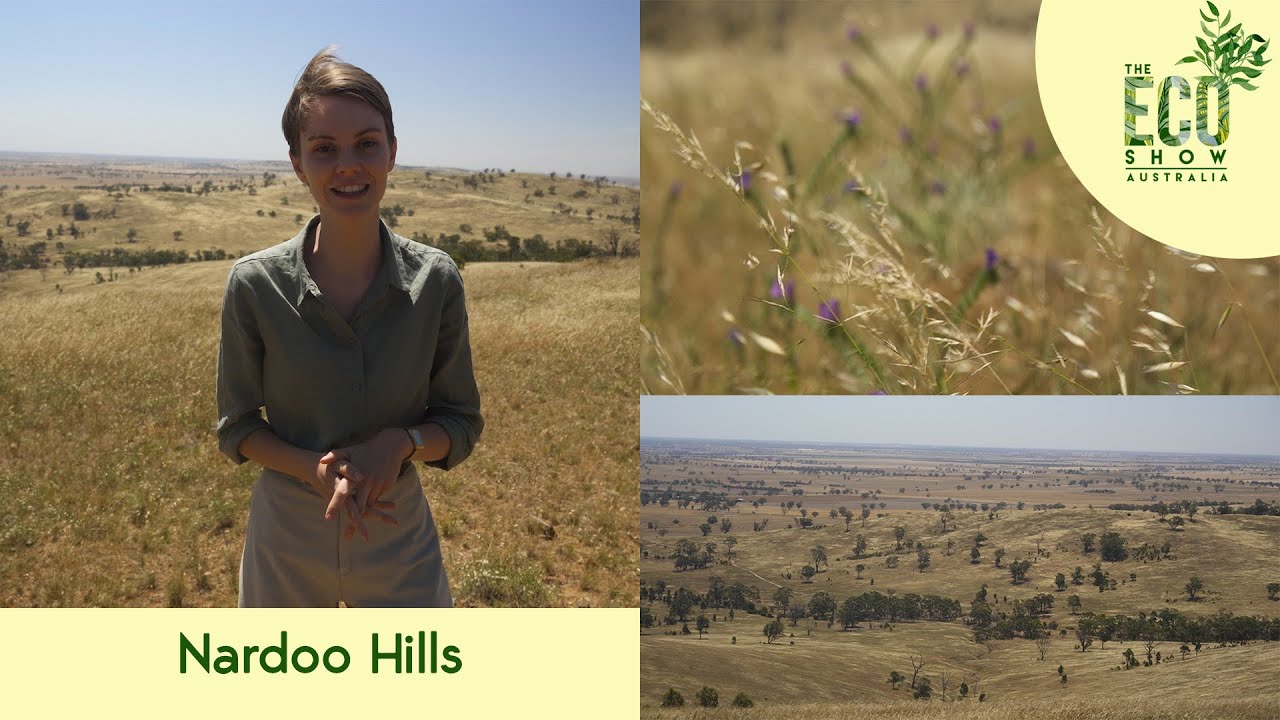 The Eco Show - S01E05 - Nardoo Hills