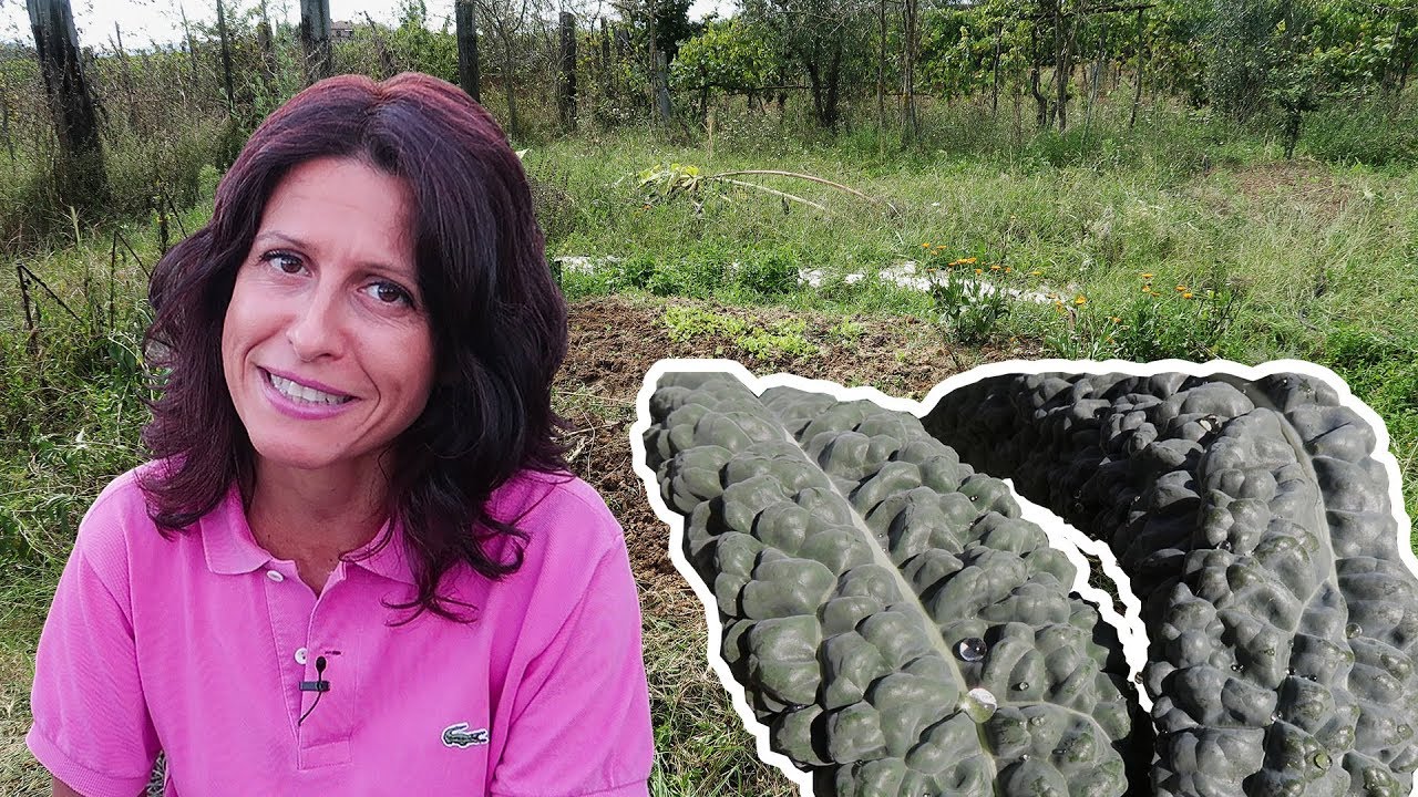 CAVOLO NERO, LA SEMINA | ORTO