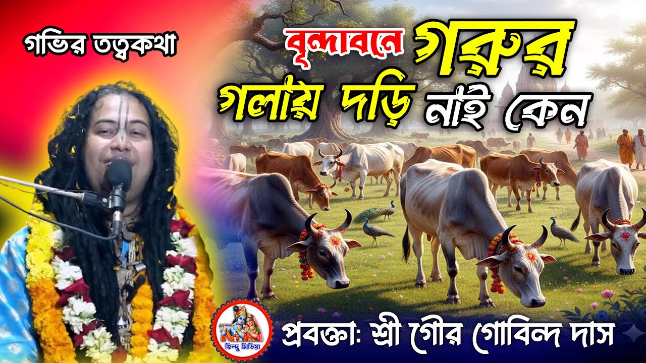 জানলে হৃদয় কেঁপে উঠবে! বৃন্দাবনে গো-মাতাদের গলায় দড়ি দেওয়া হয় না কেন? | হিন্দু মিডিয়া-