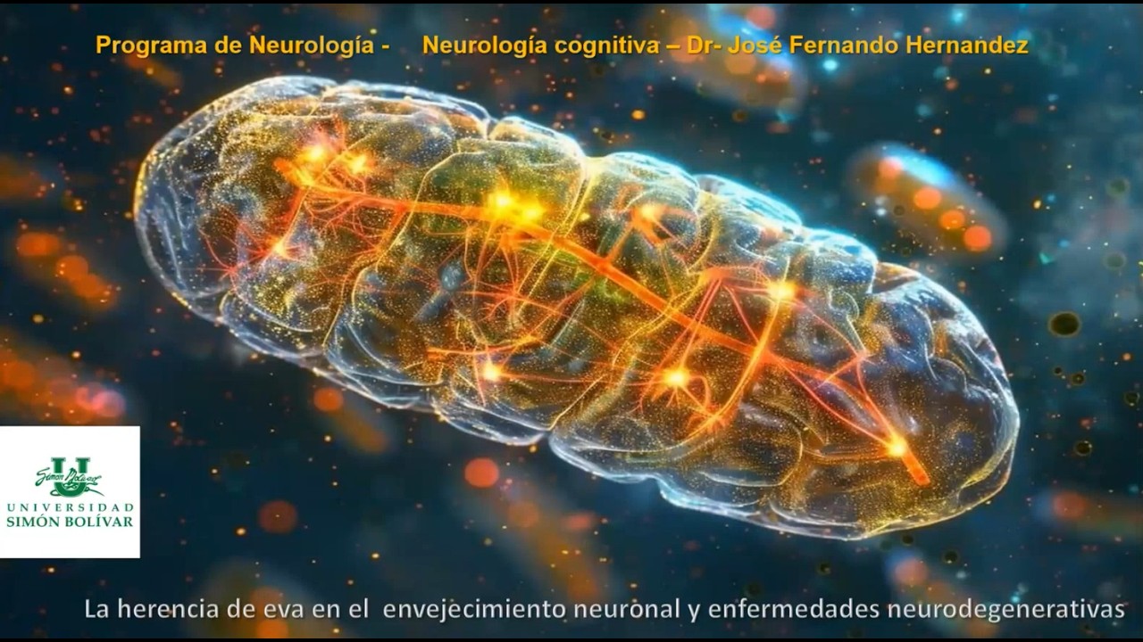Neurología cognitiva: 
