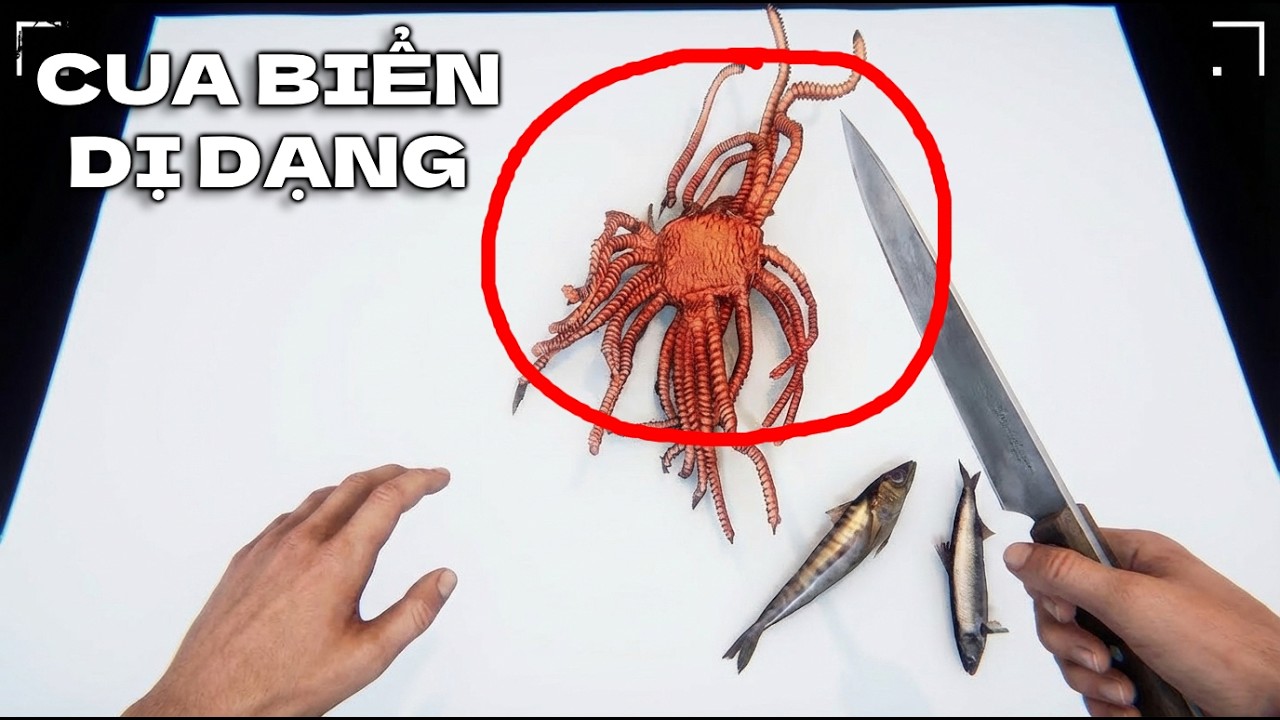M&igrave;nh BẮT một SINH VẬT BIỂN nhưng C&Oacute; VẺ n&oacute; KH&Ocirc;NG PHẢI CON CUA | GNDTT | Crabmeat