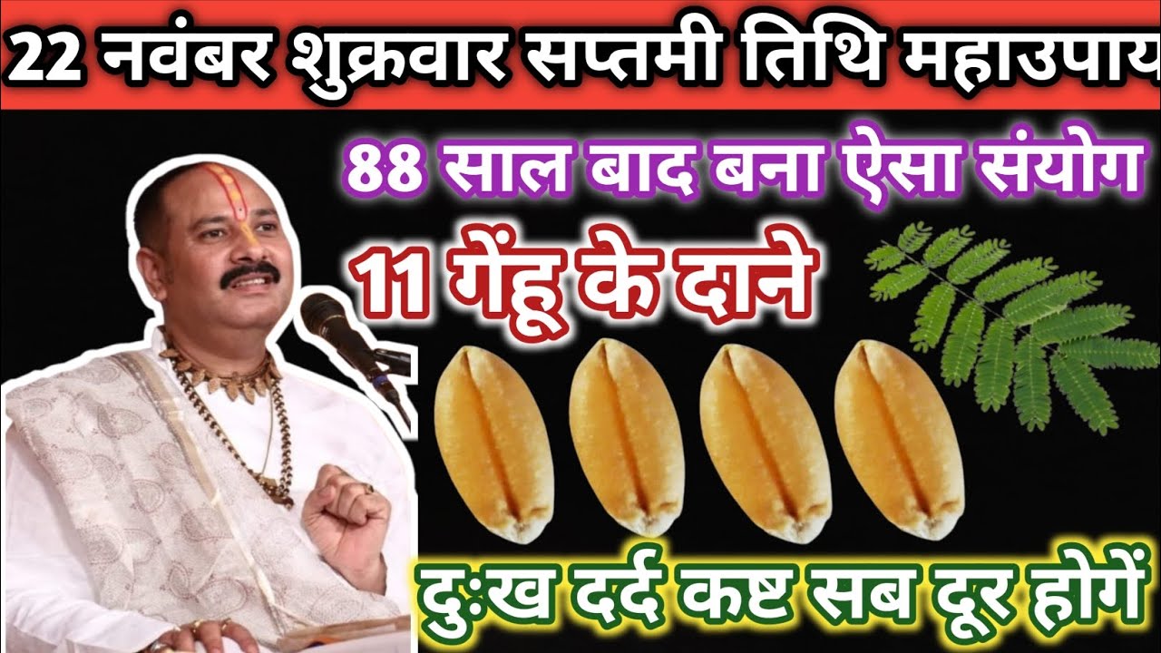 22 नवंबर शुक्रवार सप्तमी तिथि महाउपाय।। 11 गेंहू के दाने का अचूक उपाय।।