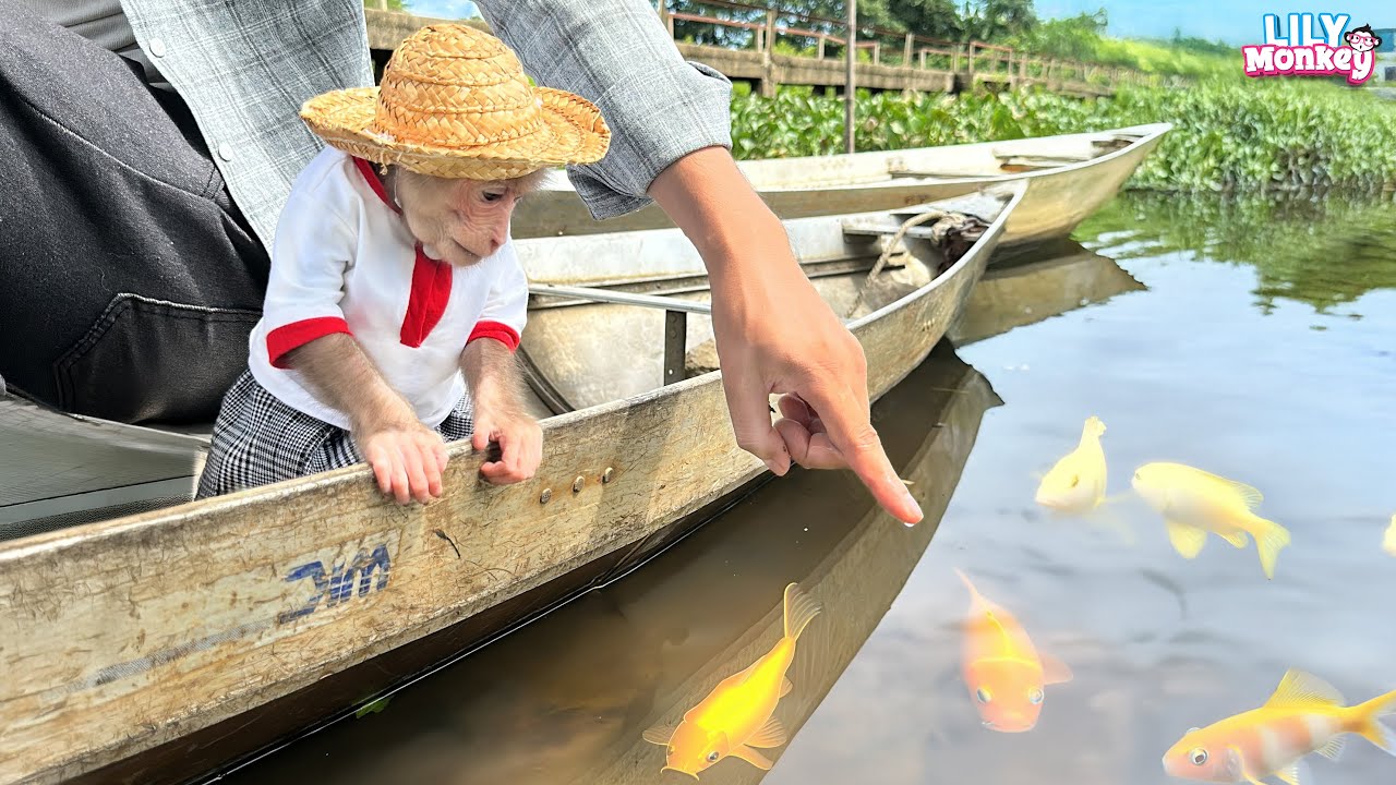 Dad takes Lily out to explore nature before the rainy days come | Lily's story