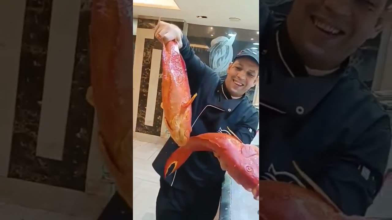 أفضل سمكه موجوده فى البحر الاحمر بعد الناجل اسمها شريفة اعرف  شكلها وبتتعمل ايه افضل حاجه