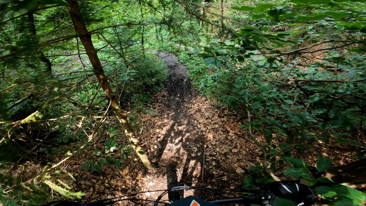 MTB Trails Sauerland / Arnsberg / Neheim , Wie findet man Trails ?!  =) in 4K #54