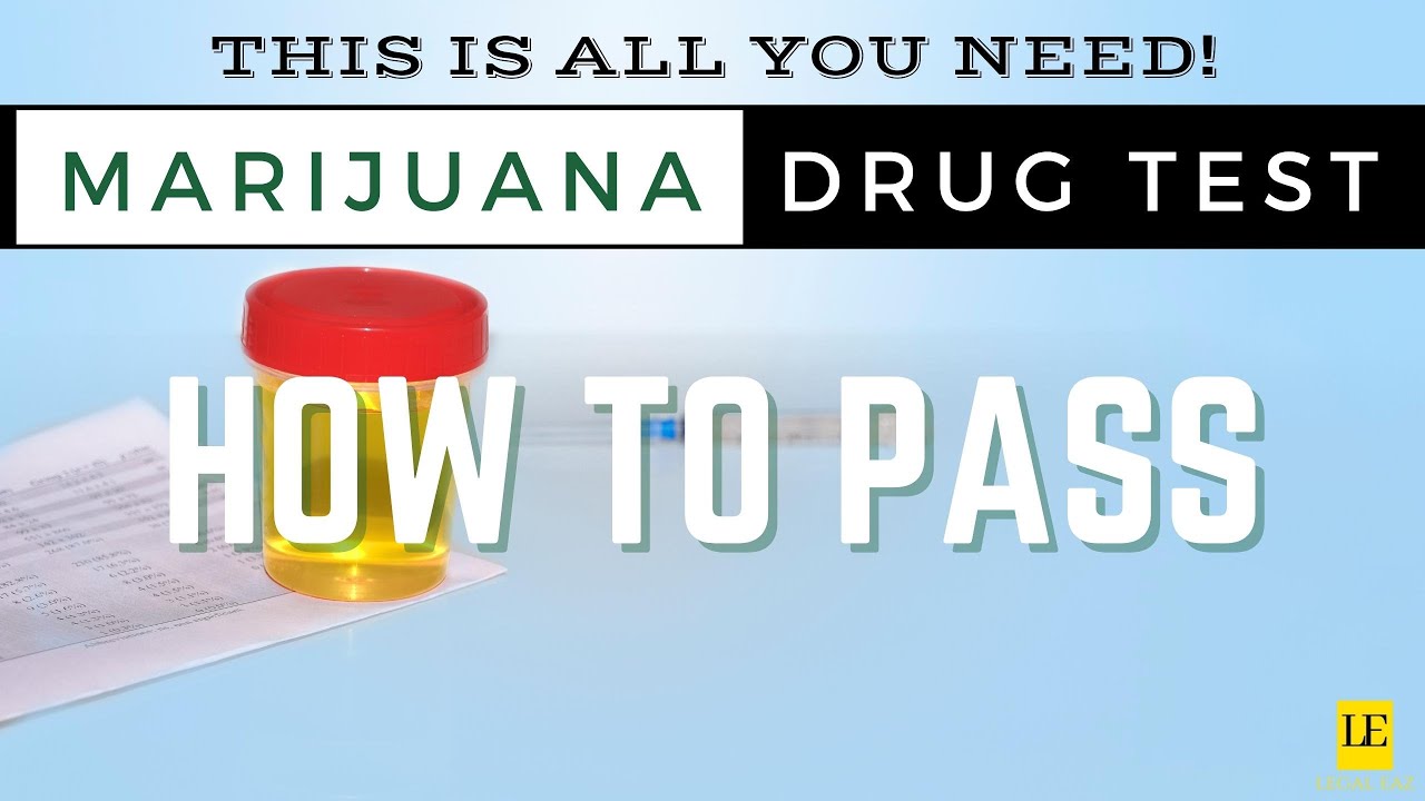 PASS PASS PASS your DRUG TEST EVERY-TIME