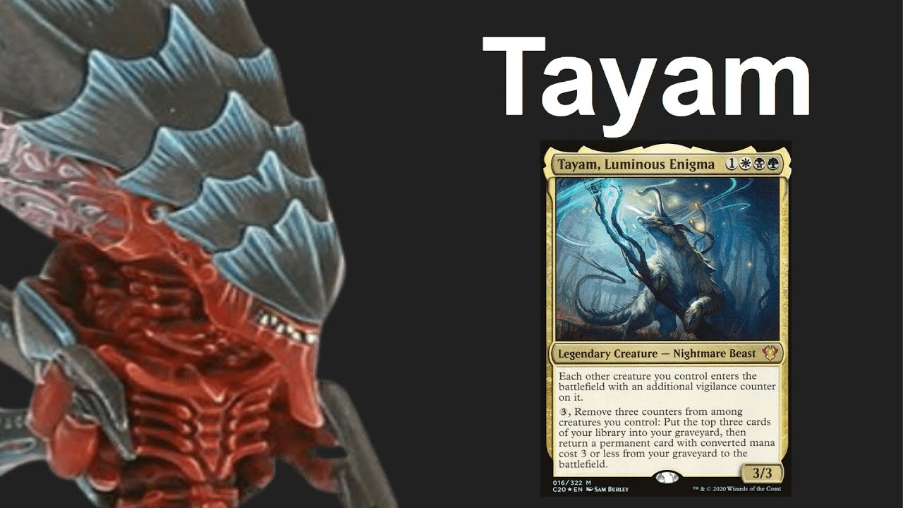 Draupnir goes infinite with Tayam, Luminous Enigma