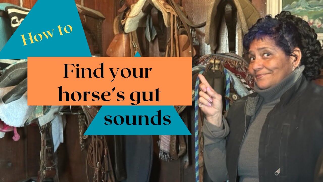 Gut Sounds