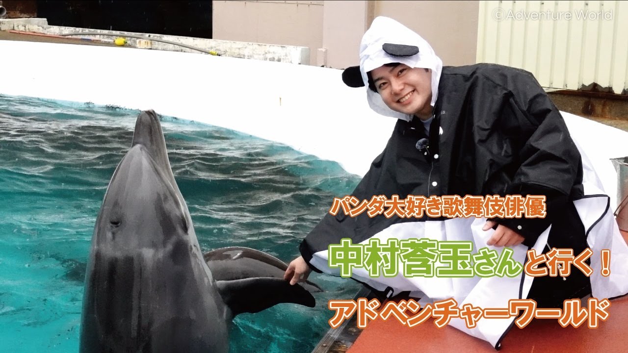パンダ大好き歌舞伎俳優「中村莟玉さん」と行く！アドベンチャーワールド【パーク散策編】