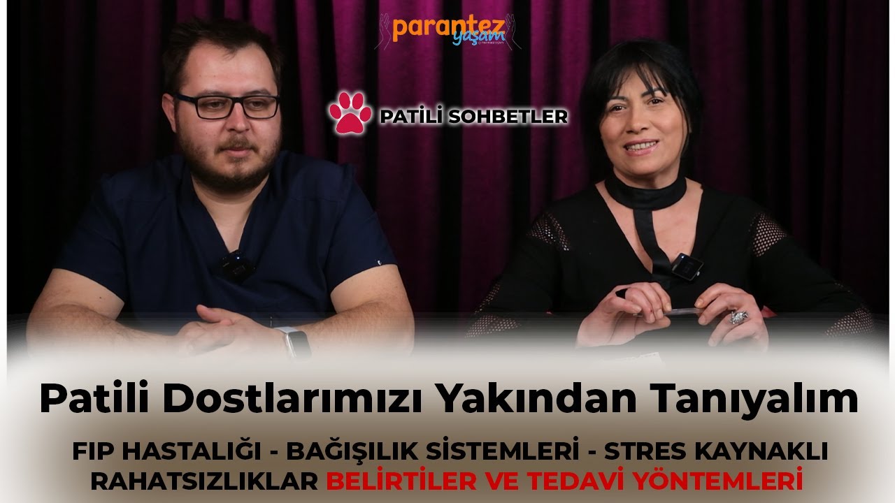 Kedilerde FIP Nedir? Belirtileri ve Tedavisi | Veteriner İbrahim Yavuz Anlatıyor
