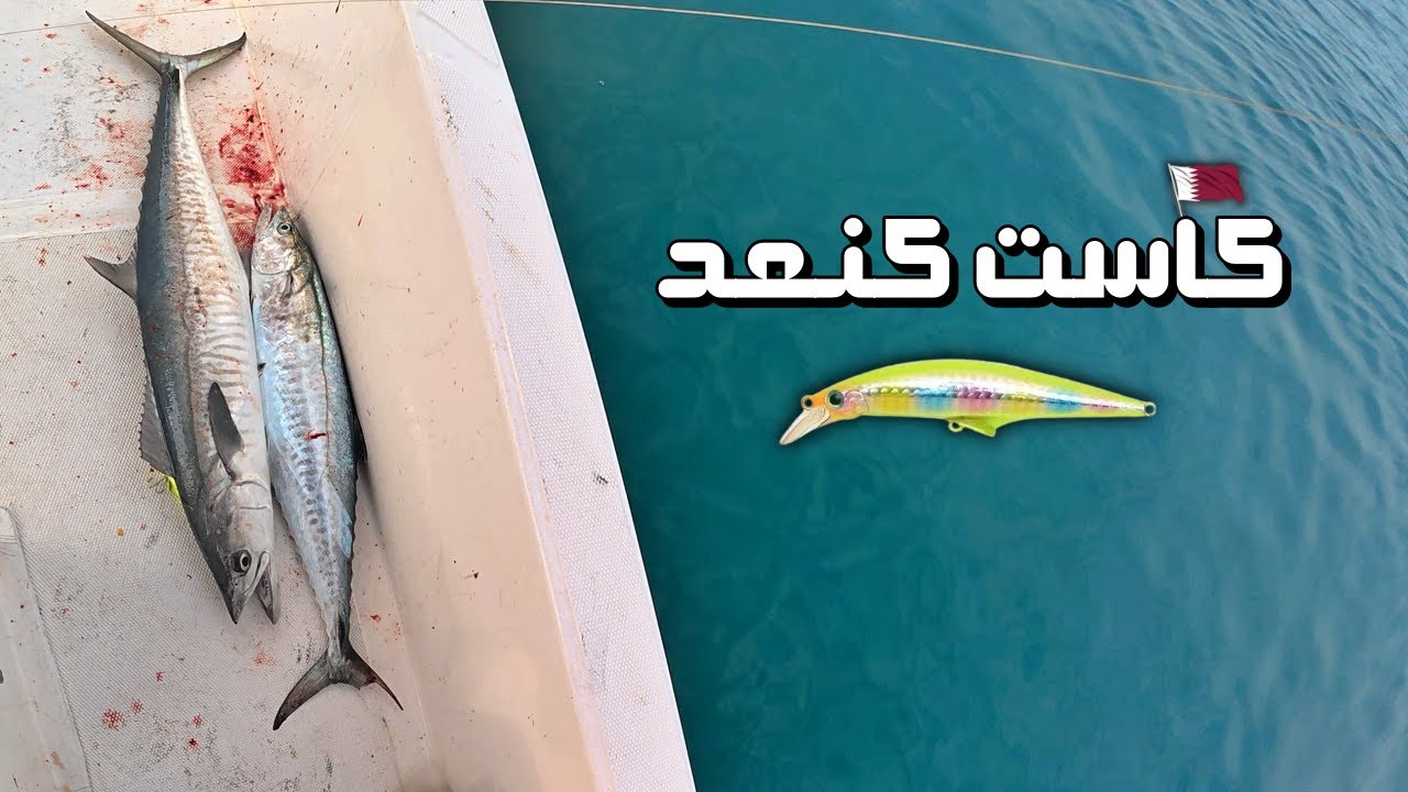 صيد الكنعد طريقة الكاست بالطعم الصناعي Fishing in Qatar for Kingfish