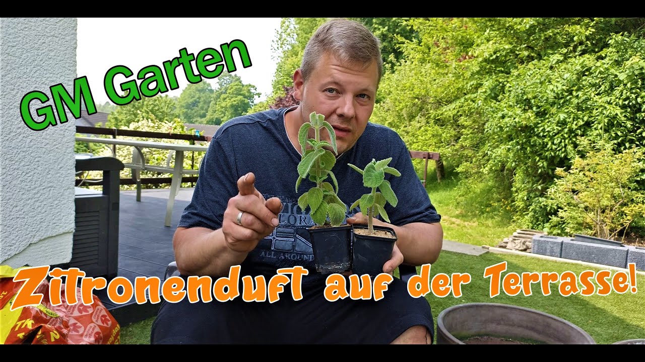 Das darf auf deiner Terrasse nicht fehlen!