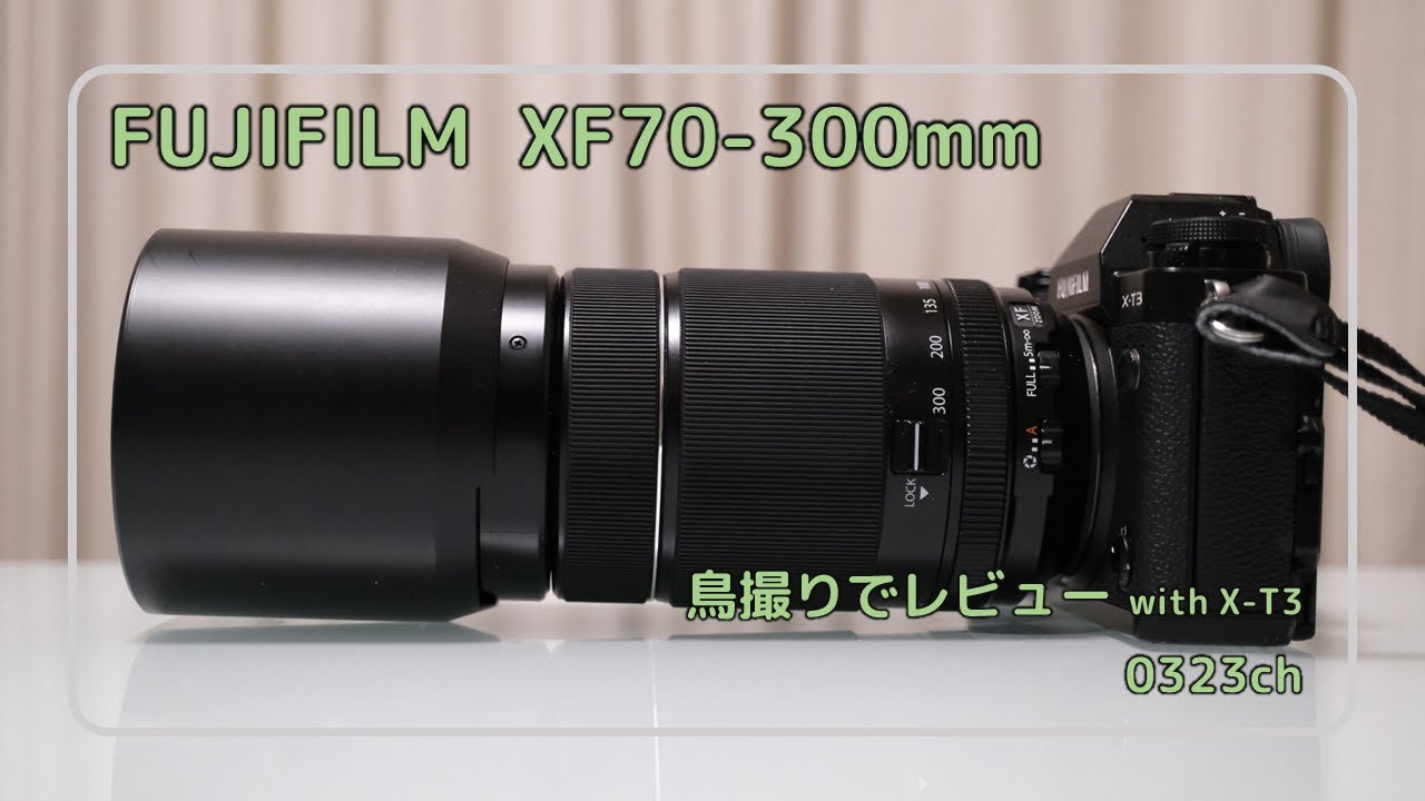 【レビュー】FUJIFILM XF70-300mm を野鳥撮影で(with X-T3)