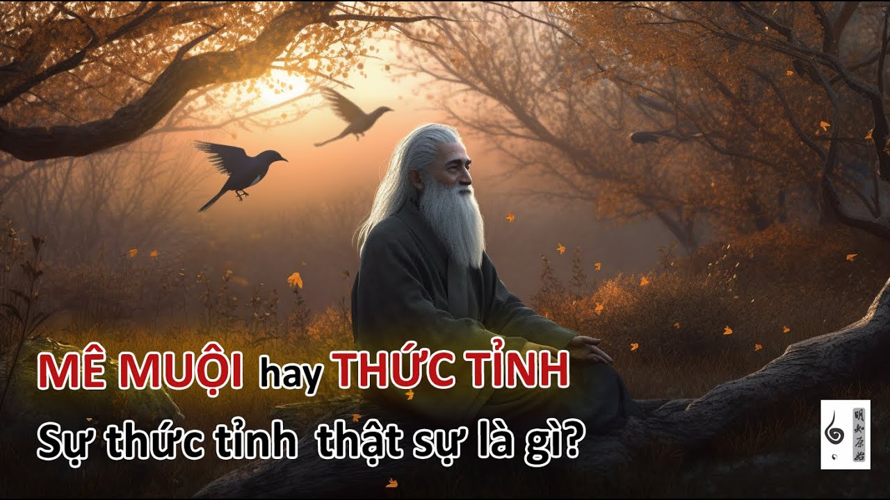 Sự thức tỉnh thật sự là gì? Có phải bạn đang mê muội thức tỉnh? - Vạn vật giác ngộ