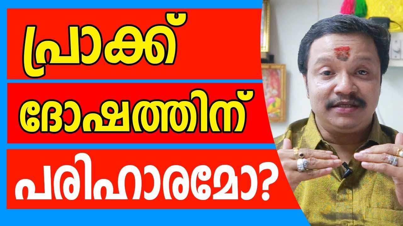 പ്രാക് ദോഷത്തിന് പരിഹാരം  | Online Astrologer | Astrology | Horoscope | Zodiac | Vastu