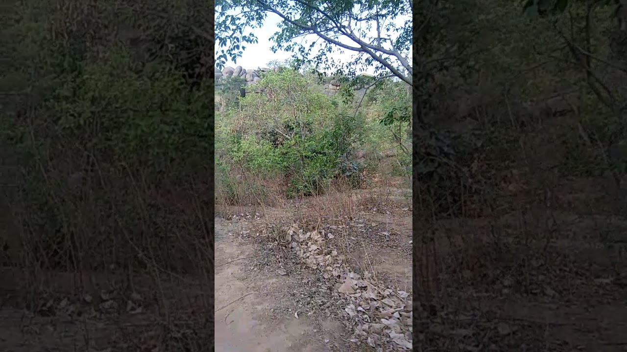 Hill Climbing at Mahoba (UP)
