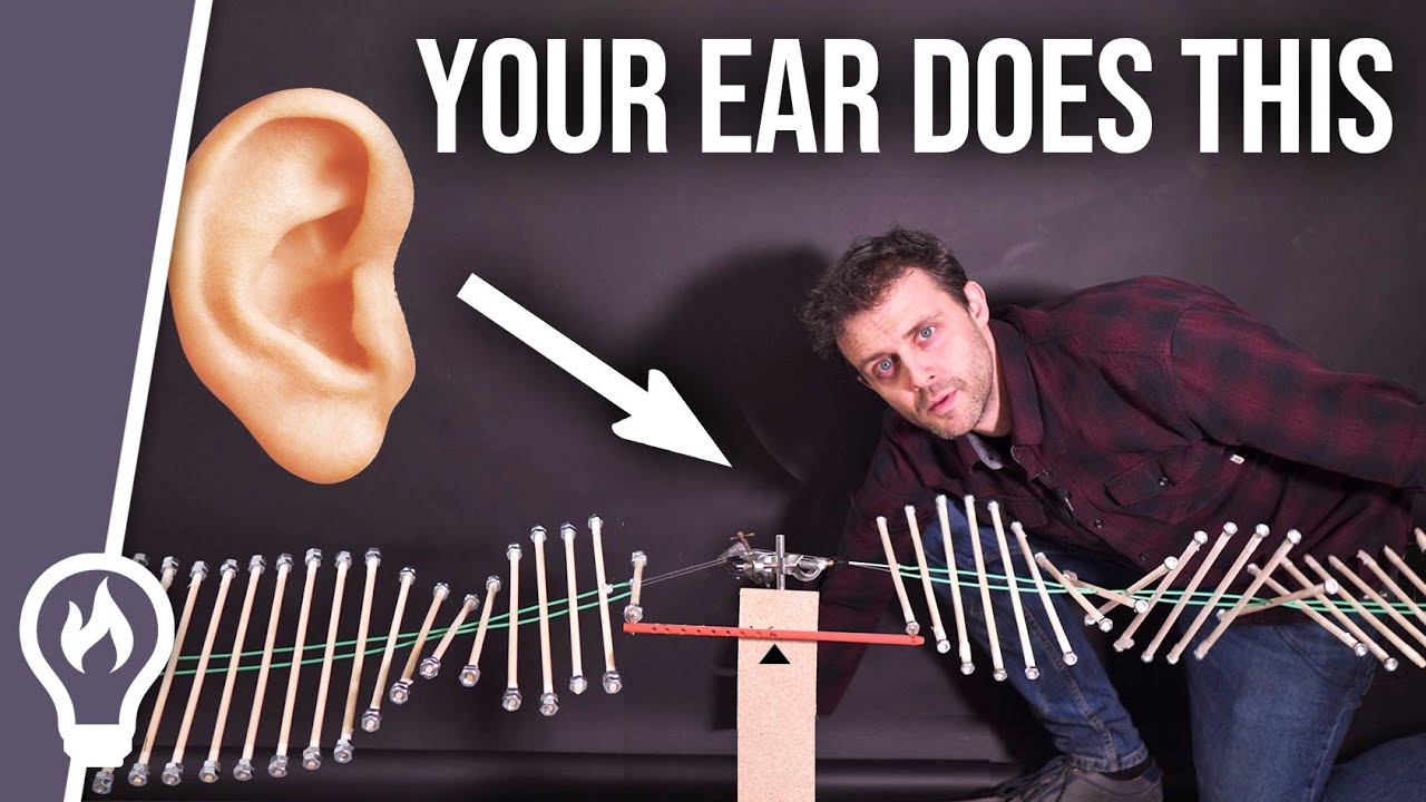 There's a Lever in Your Ear and It Does Something Amazing