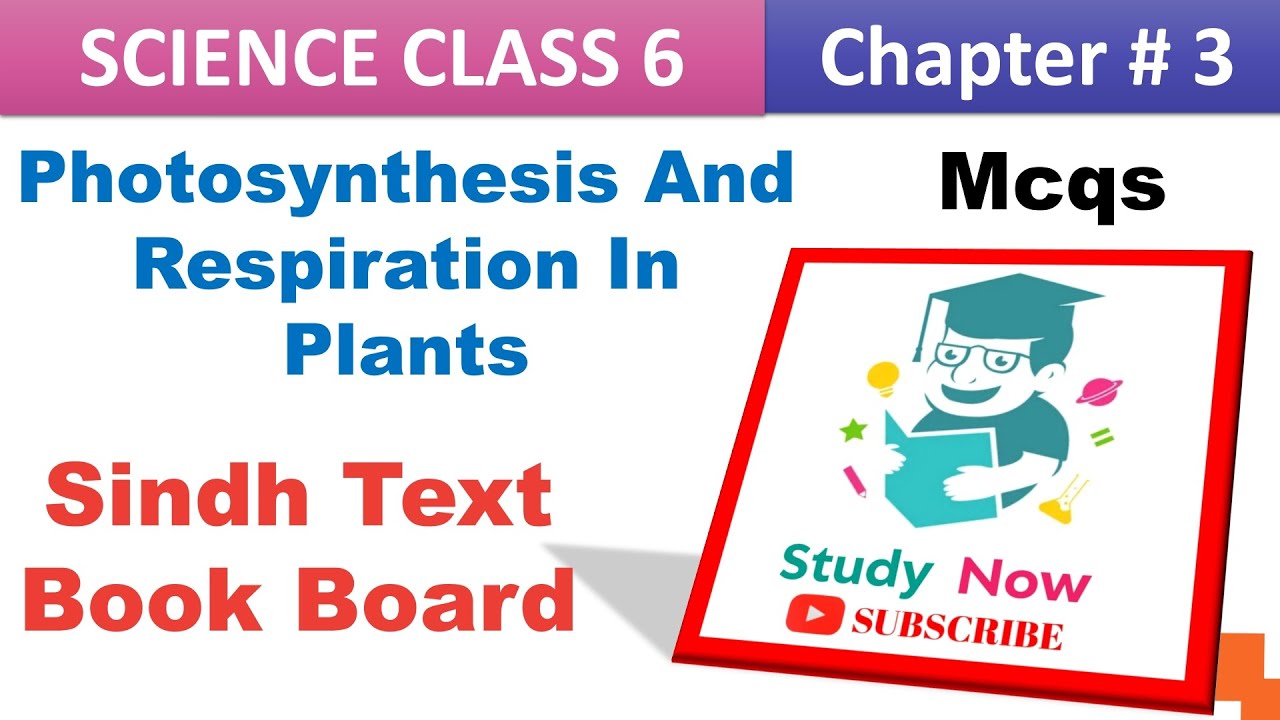 Science Class 6 Chapter 3 | Photosynthesis And Respiration In Plants |  STBB | Study Now