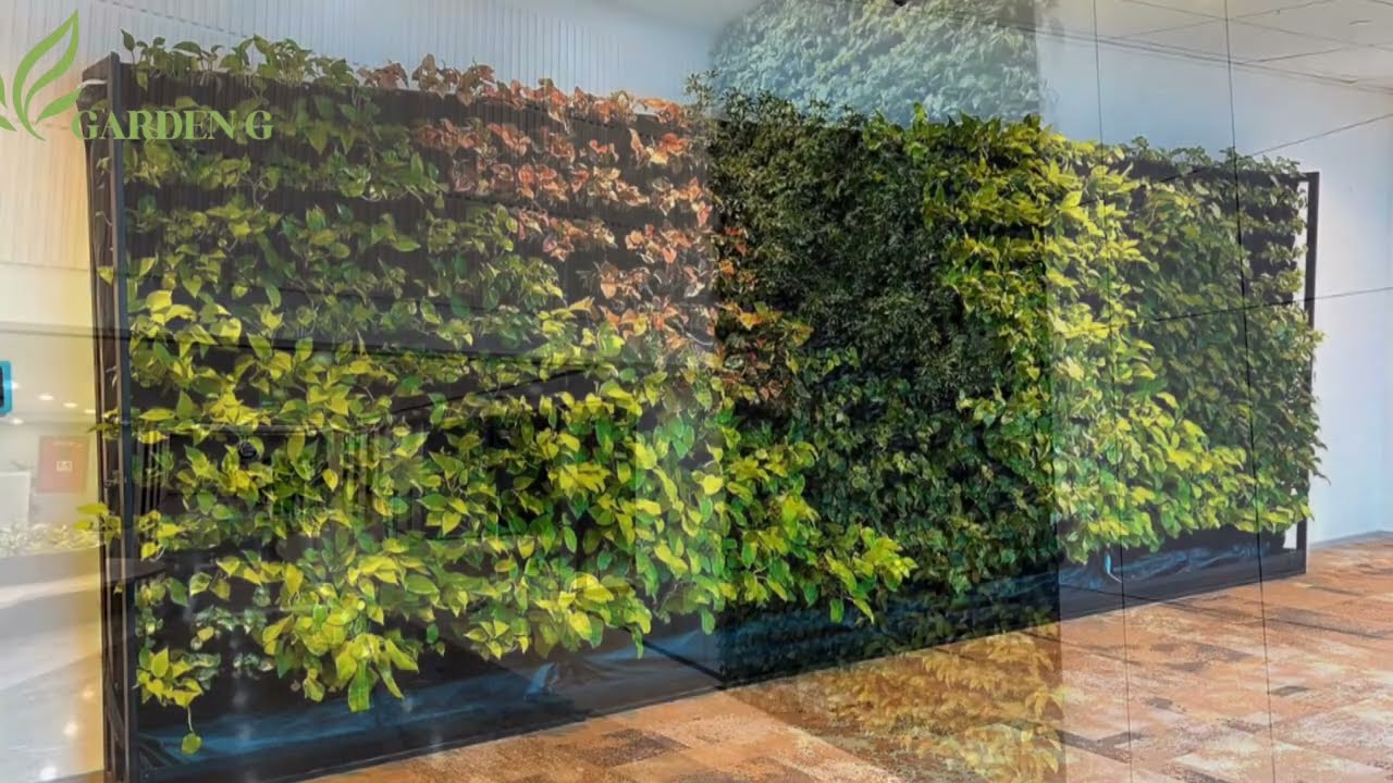 Transform Your Balcony - Offices -  Home with Vertical Garden | Vertical Garden Ideas for Delhi NCR