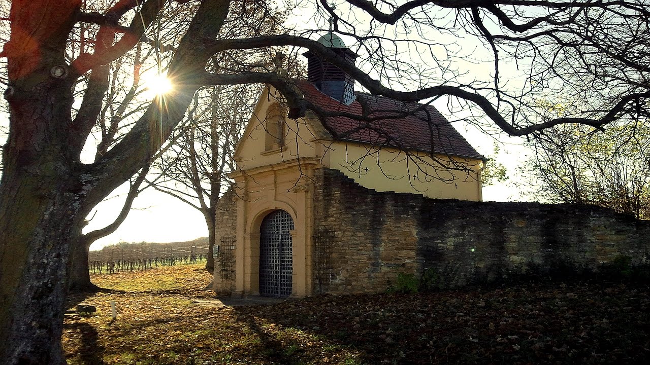 Panoramastreifzug durch das Leiningerland