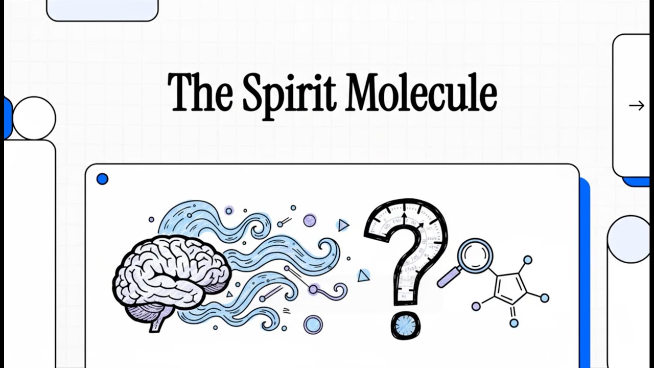 DMT Synthesis in the Human Brain: What We Thought We Knew in 2012 (Barker et al., 2012)