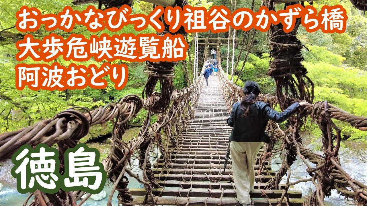徳島県　大歩危峡遊覧船・祖谷のかずら橋・阿波おどりを巡る旅 tokushima japan【アラカン・徳島旅行】旅ログ 024