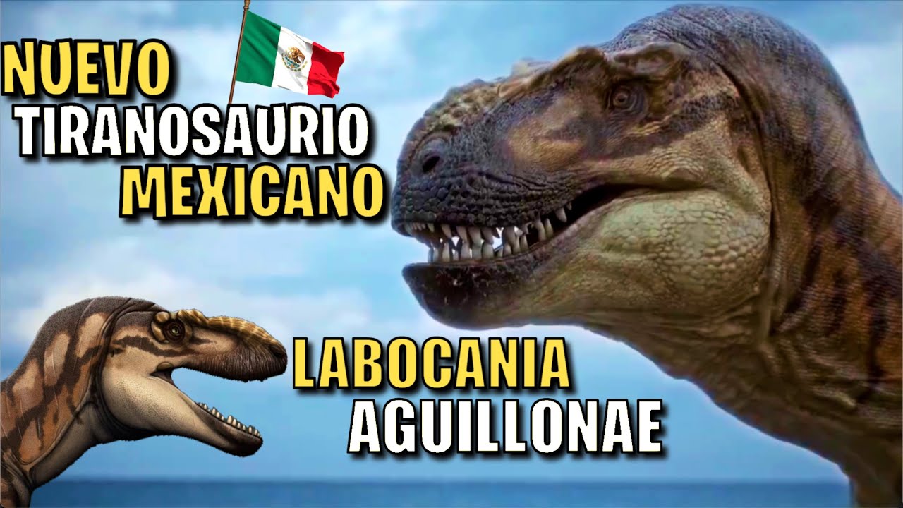 Nuevo Tiranosaurio Mexicano 🦖🇲🇽 | Labocania aguillonae | Nuevo Dinosaurio Descubierto en M&eacute;xico