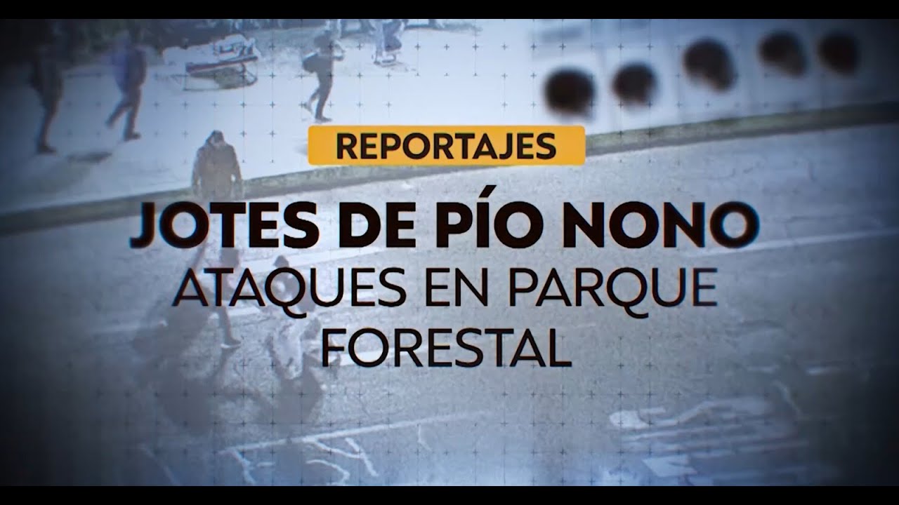 Reportajes T13 | 