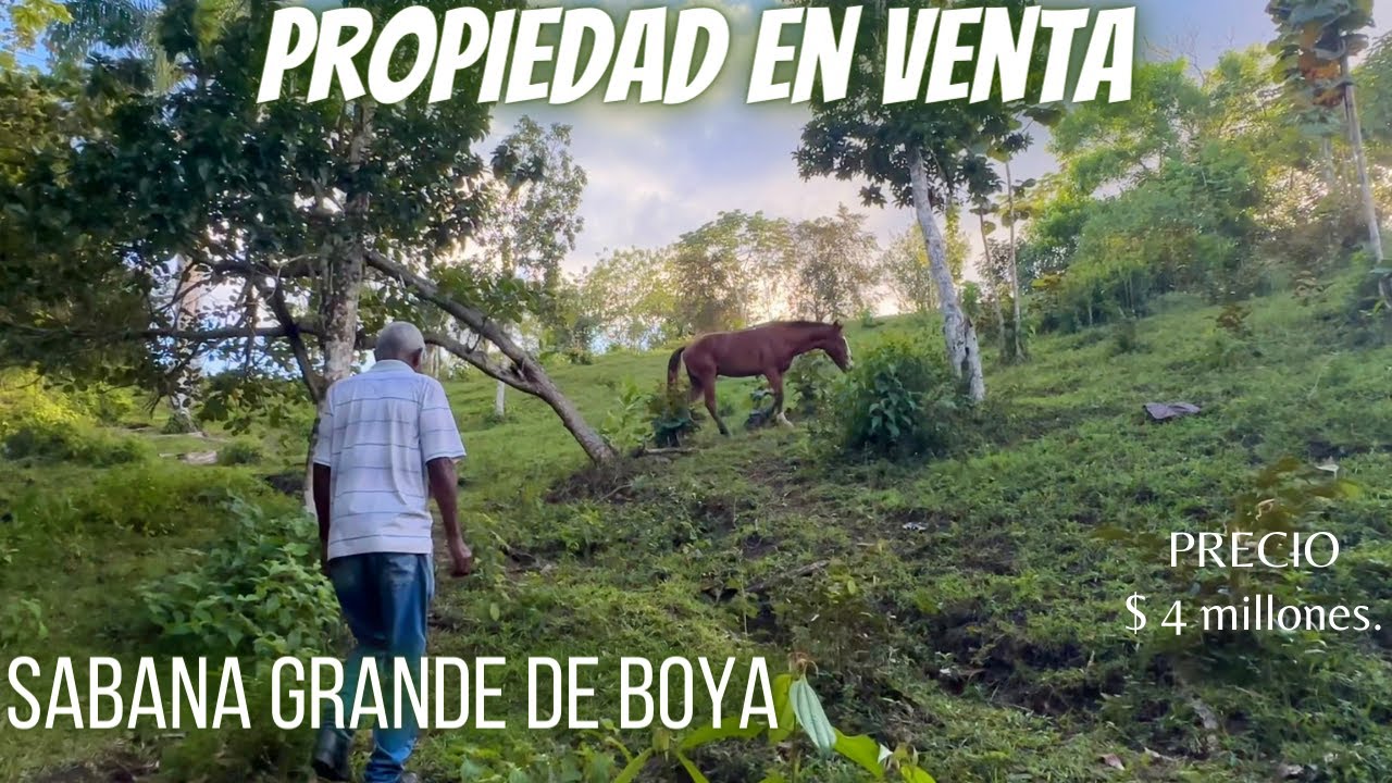 Propiedad en Monte Plata  - Sabana Grande de Boya