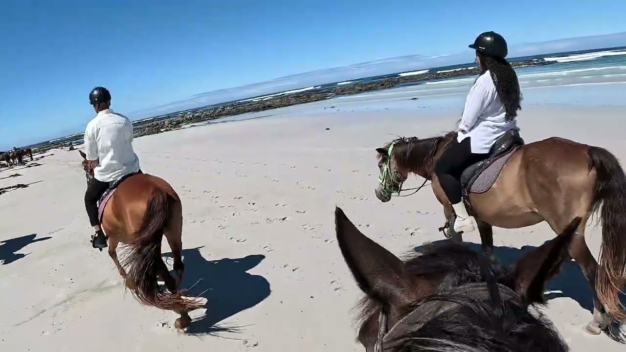 Pearly Beach Horse Trails (Western Cape) -  Exclusive Champagne Trail 17 Jan 2026