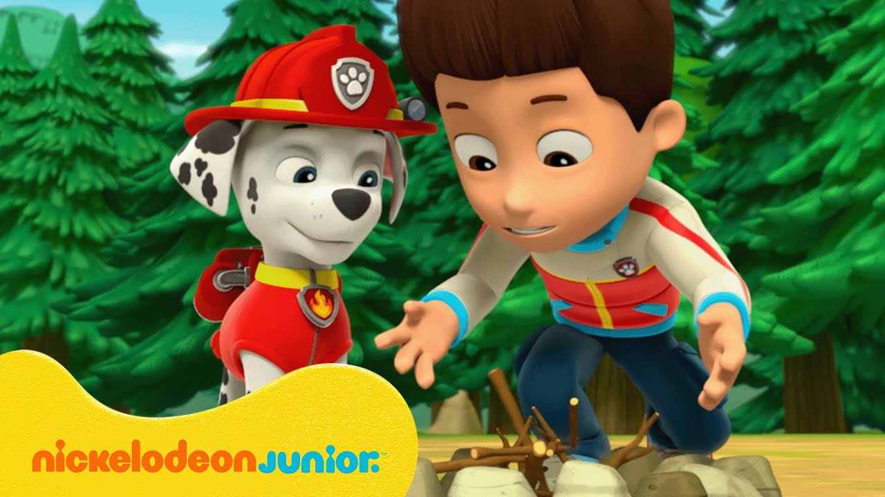PAW Patrol : La Pat' Patrouille | Les aventures de camping de la Pat' Patrouille ! | Nickelodeon Jr.