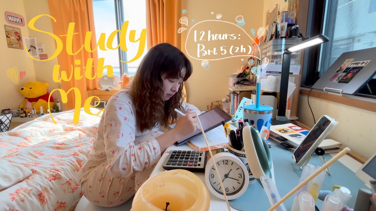 【study with me】12時間勉強するよ📚5時間目| 2h | no music | accounting