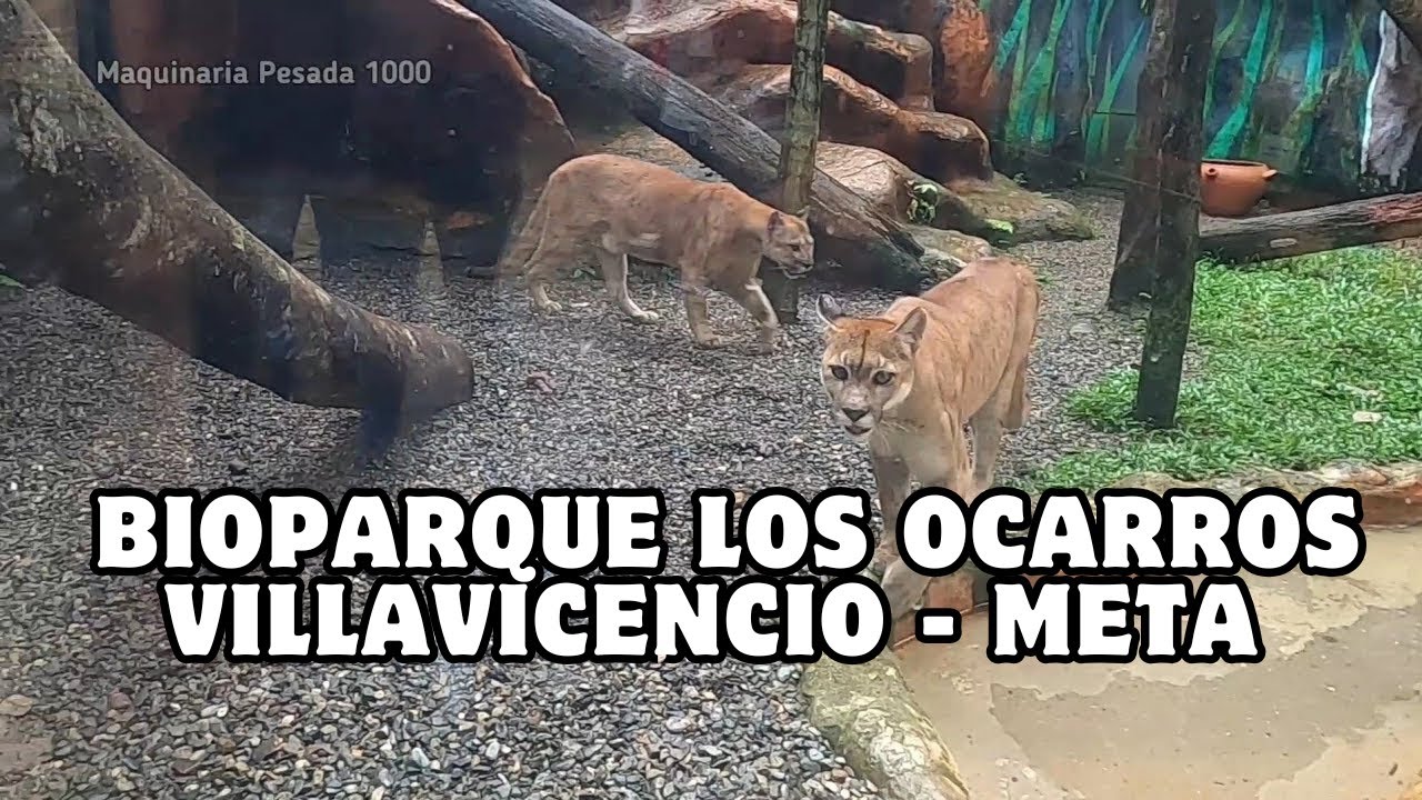 bioparque los ocarros en villavicencio meta aqui les muestro un recorrido