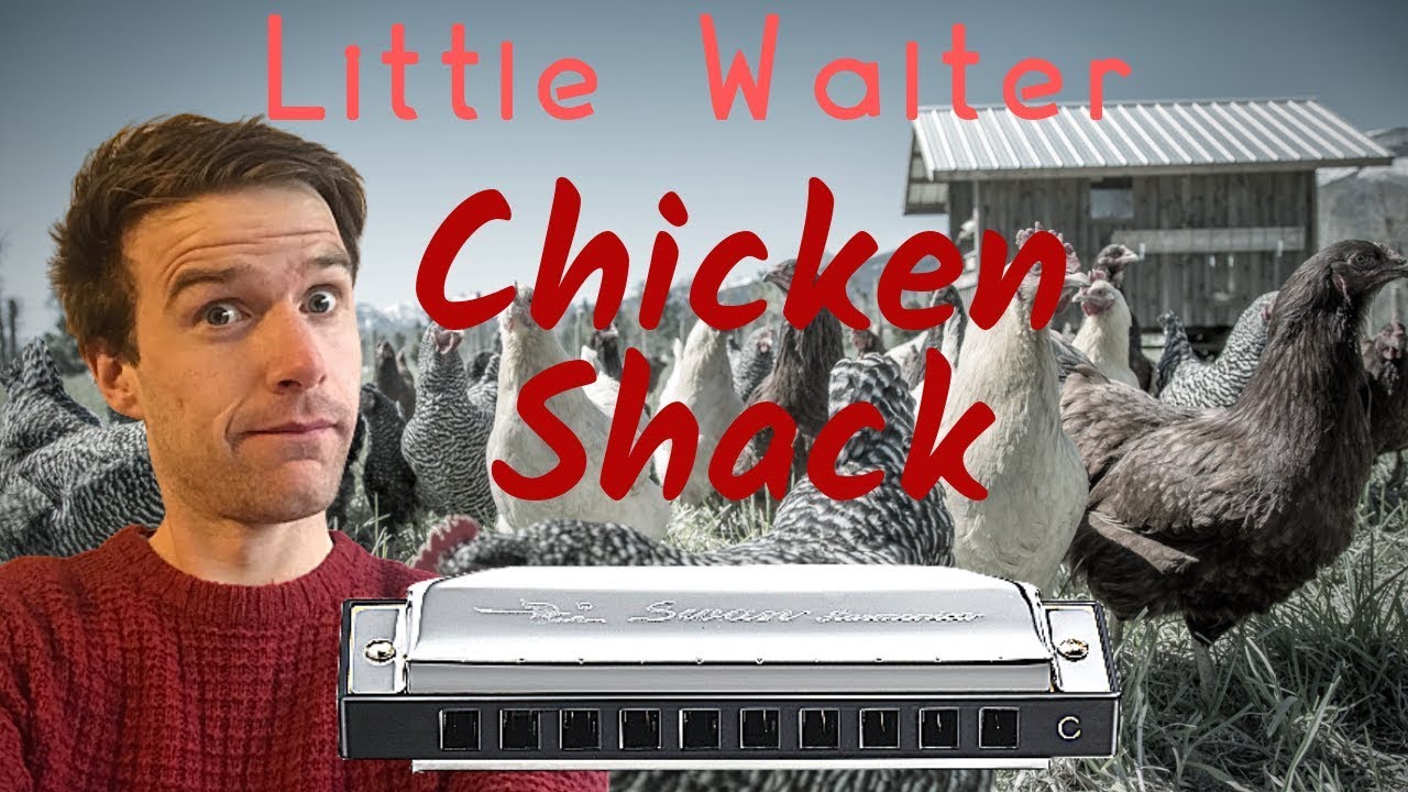 Chicken Shack (Little Walter) blues harmonica lesson