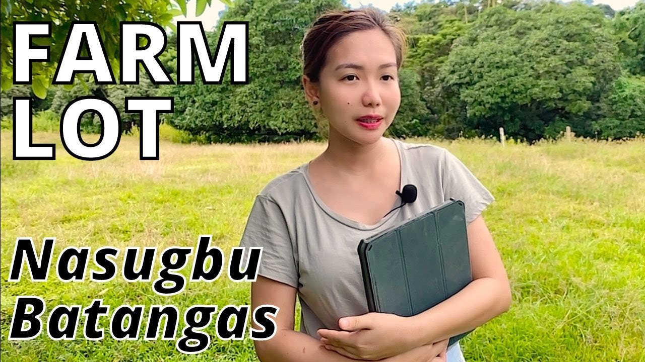 Farm Lot in Nasugbu Batangas with Fruit Bearing Trees and Private Access Road