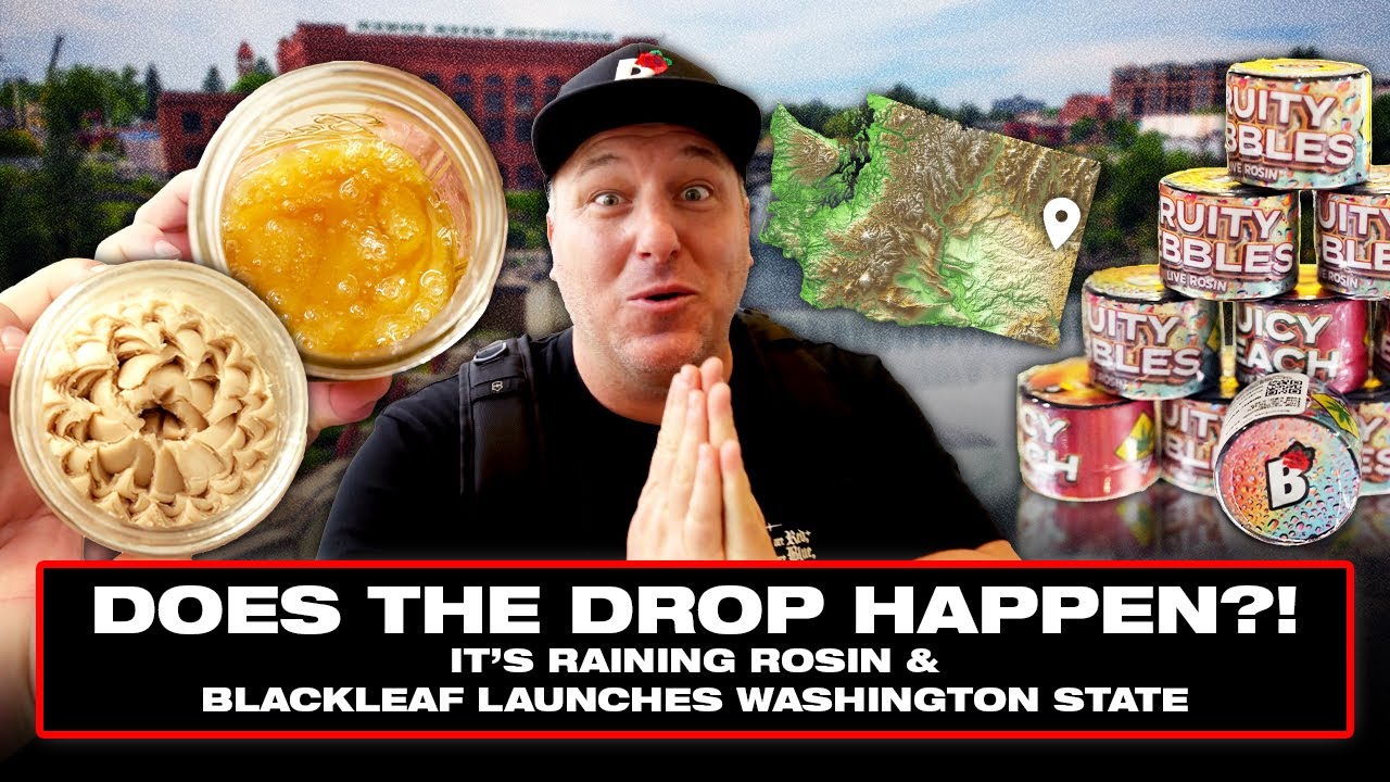 First Look At BlackLeaf Live Rosin In WA, Curations&rsquo; Massive Facility, & Churchill&rsquo;s Steakhouse