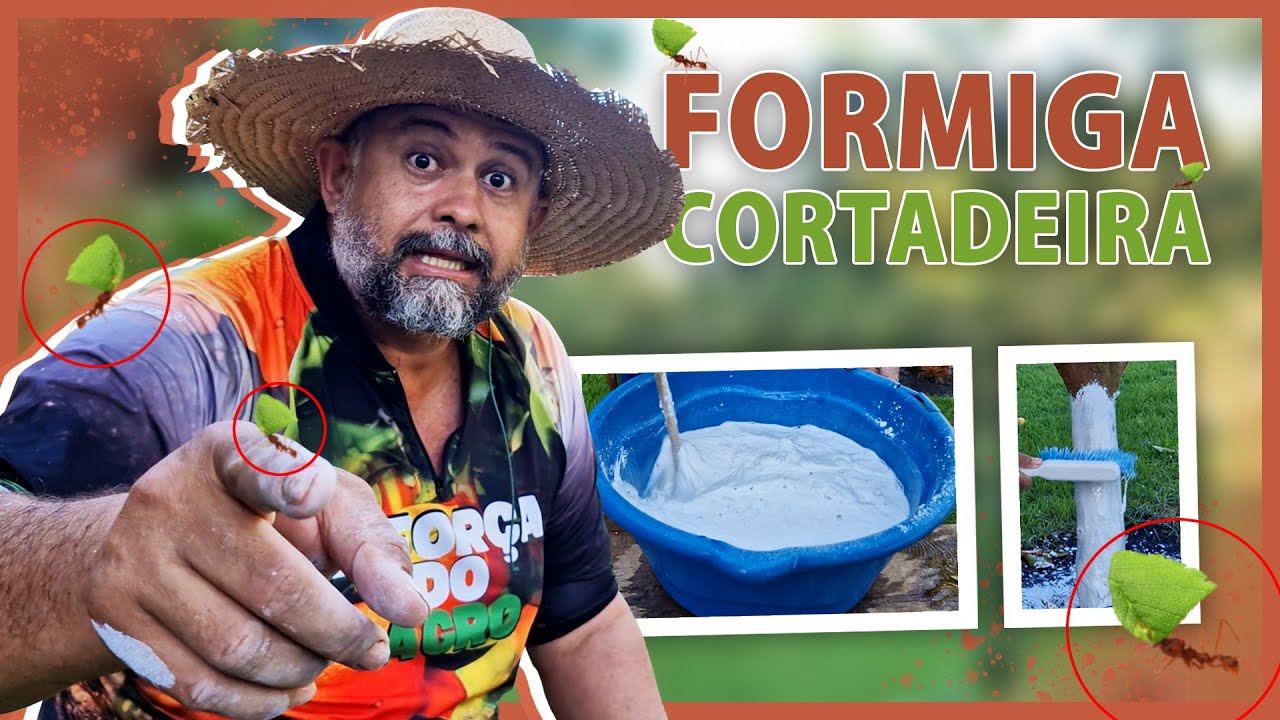 Esse PRODUTO vai controlar as FORMIGAS CORTADEIRAS