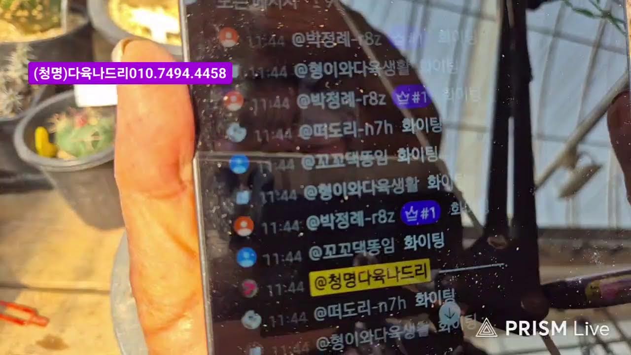 (청명)다육나드리 라이브 방송