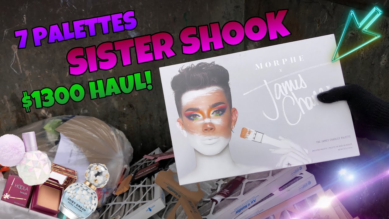 WE FOUND THE JAMES CHARLES PALETTE WHILE ULTA DUMPSTER DIVING?! SISTER SHOOK!
