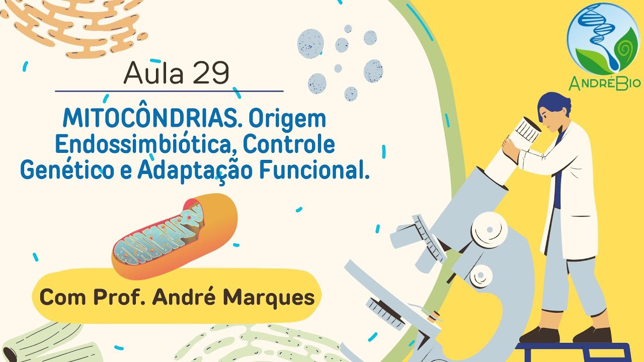 AULA 29: MITOCÔNDRIAS. Origem Endossimbiótica, Controle Genético e Adaptação Funcional.