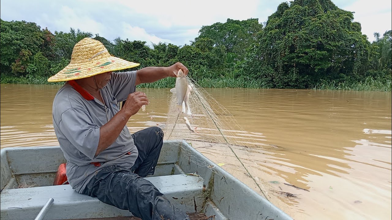 Alhamdulillah..SEMBANG SANTAI SAMBIL ANGKAT JARING.. HASIL LUMAYAN.. #SRIFT #SLIMRIVER #IKANSUNGAI 