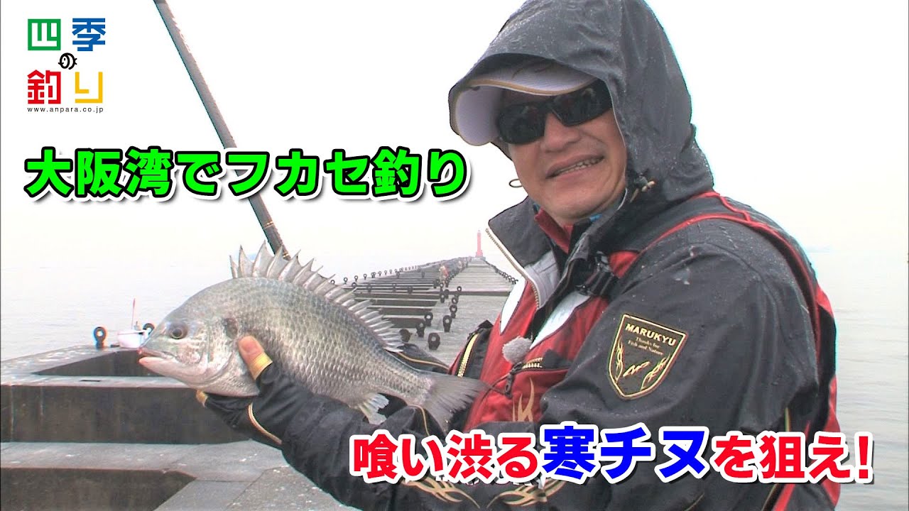 大阪湾でフカセ釣り　喰い渋る寒チヌを狙え！（四季の釣り/2021年1月22日放送）