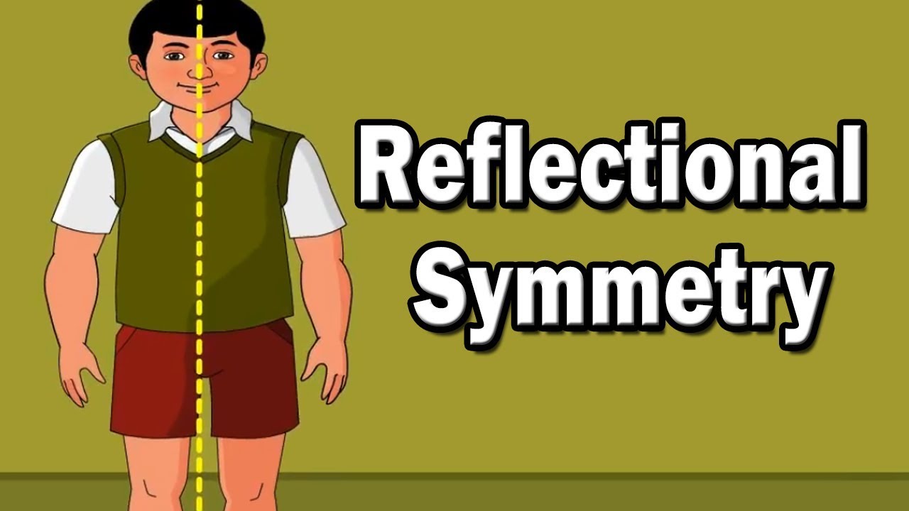 Reflectional Symmetry | Home Revise