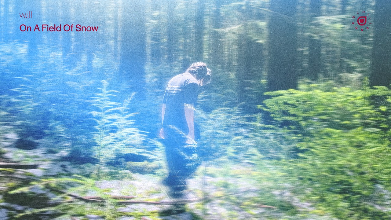 w.ill - On A Field Of Snow (Mix)
