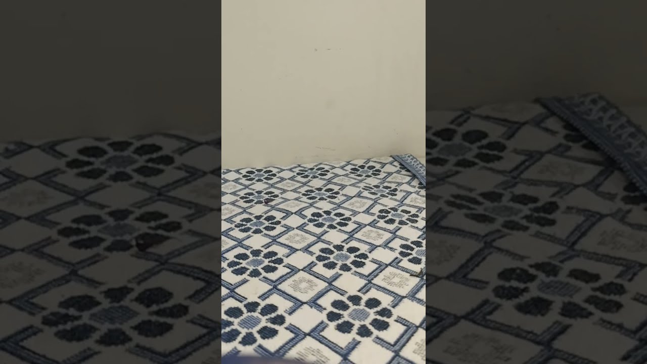 እሙ ሂክማ Tube is liveኑእንደማመር ቤተሰብ