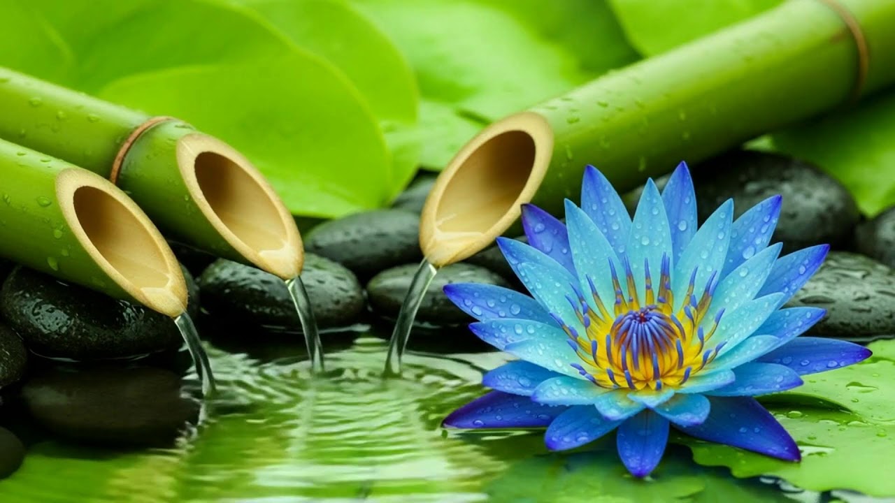 Peaceful Relaxing Music – Deep Sleep, Meditation & Therapy Sounds for Stress and Anxiety Healing