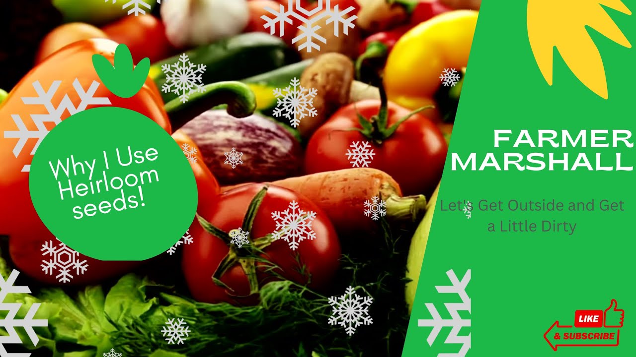 Heirloom vs. Hybrid: Unraveling the Mystery of Vegetable Seeds for a Thriving Garden