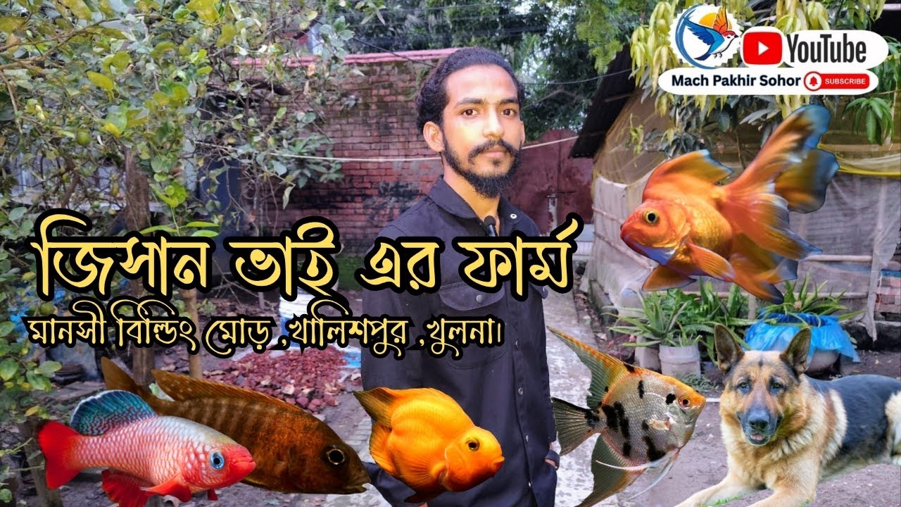 Aquarium fish shop in khulna।।রঙিন মাছের দোকান।। কাস্টমাইজ একুরিয়াম তৈরি করা হয় #aquariumfish #fish